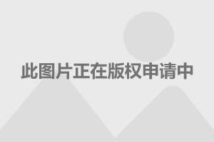  马赛队长重伤缺阵三月，欧冠席位争夺添变数  